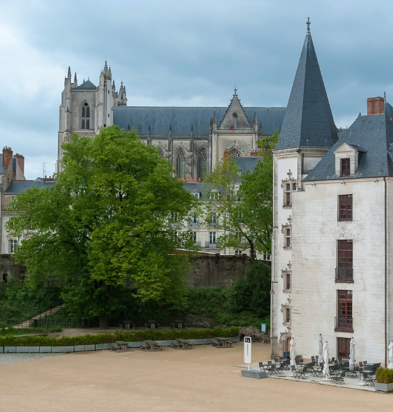 Agence web La Rochelle : l'enjeu du digital pour votre entreprise