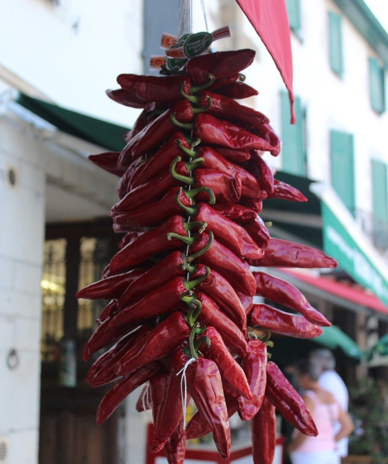 Agence web Pays Basque : l'enjeu du digital pour votre entreprise