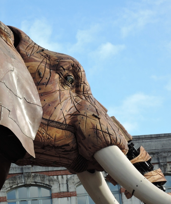 Agence web La Rochelle : le partenaire de votre stratégie digitale