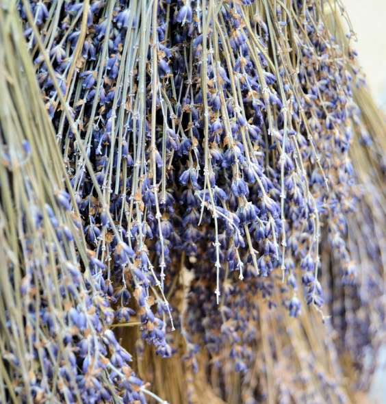 Agence web La Rochelle : l'enjeu du digital pour votre entreprise