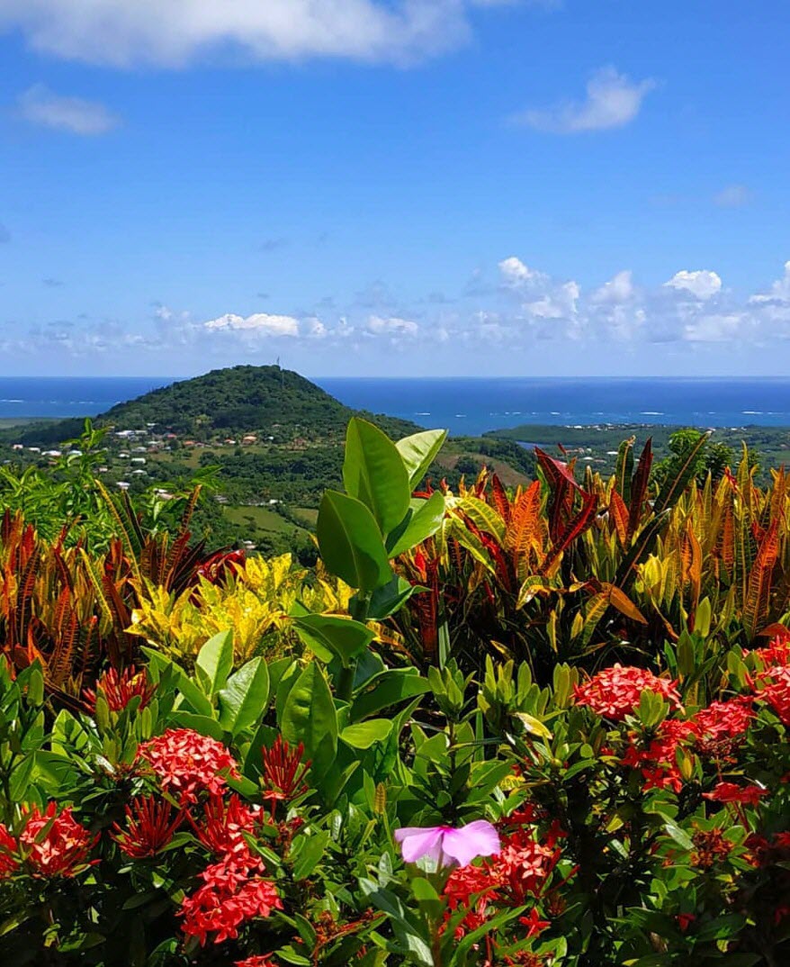 Agence web La Rochelle : l'enjeu du digital pour votre entreprise