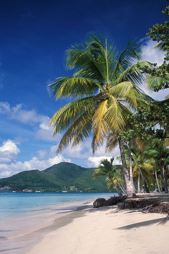 Agence web La Rochelle : l'enjeu du digital pour votre entreprise